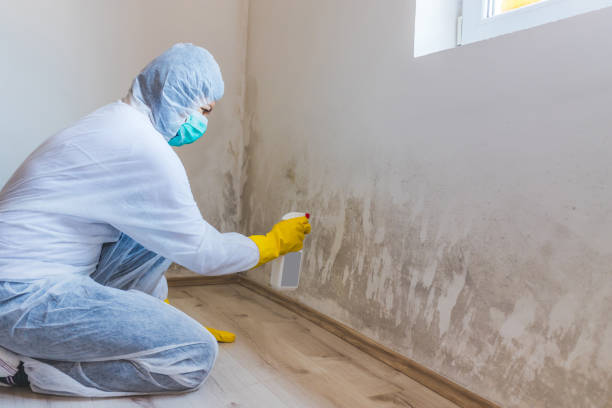 Mold Remediation specialist working in Gaithersburg