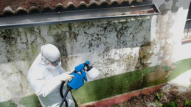 Mold Remediation service in Gaithersburg, Gaithersburg, MD